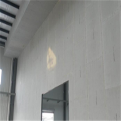 定海宁波ALC板|EPS加气板隔墙与混凝土整浇联接的实验研讨